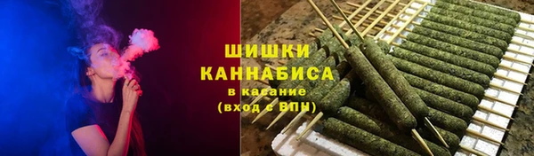 шишки Володарск