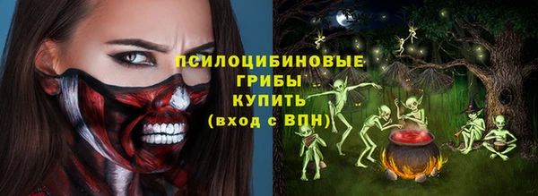 spice Вязьма