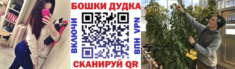 Шишки марихуана AK-47  цены   Демидов 